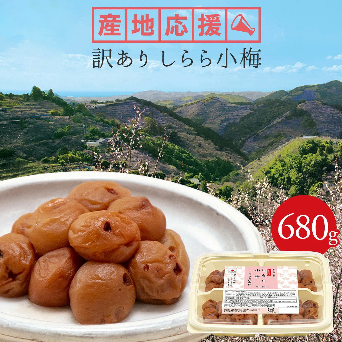 日本直邮 中田食品 白梅小梅和歌山县产纪州产梅干盐分5% 680g