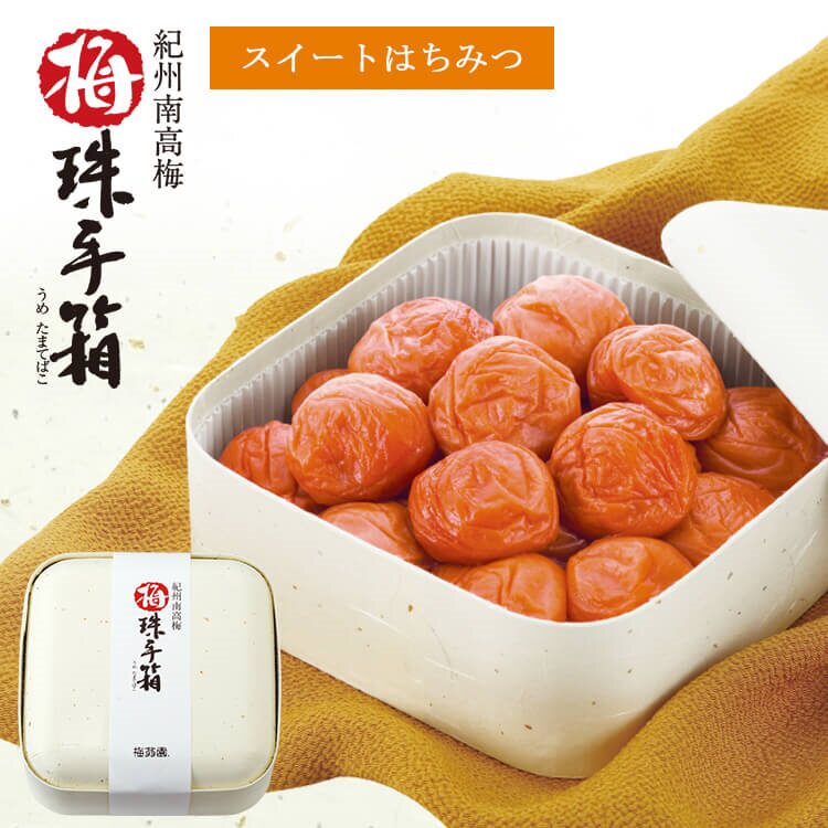 日本直邮 梅干礼品和歌山纪州南高梅甜蜜蜂蜜款梅翁园盐分5% 600g