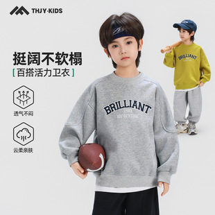 男童卫衣春秋款2026春装新款儿童男孩韩版休闲春季帅气长袖上衣潮