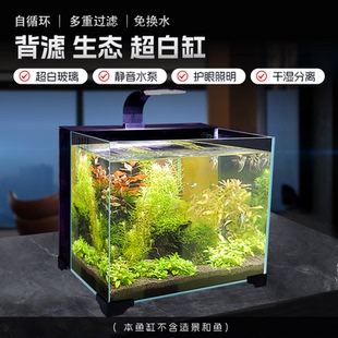 鱼小懒40x30x30cm背过滤小鱼缸玻璃背板海缸生态缸