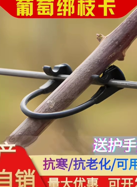 猕猴桃葡萄绑枝卡套袋扎丝
