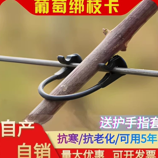 10猕猴桃葡萄绑枝卡套袋绑枝机绑枝卡扣扎丝葡萄树苗绑枝卡子包邮