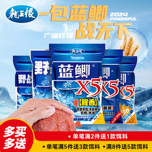 龙王恨鱼饵野战蓝鲫x5腥香鲫鱼饵料野钓专用鲤草鳊钓鱼饵料青春版
