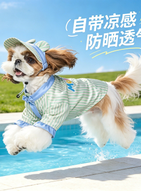 马尔泰犬宠物狗狗冰丝宠物衣服小型犬夏天薄款公主裙漂亮2026新款