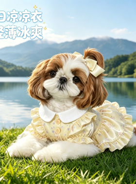 马尔泰犬宠物狗狗冰丝宠物衣服小型犬夏天薄款公主裙漂亮2026新款
