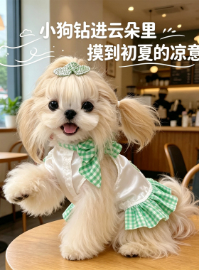 马尔泰犬宠物狗狗冰丝宠物衣服小型犬夏天薄款公主裙漂亮2026新款