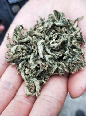 艾茶艾叶茶泡水喝蕲艾艾尖手工端午艾尖食用