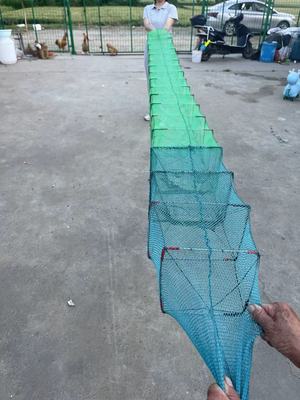 3.8米长19节14门虾网 六股线有结无结双拼虾笼 双回笼须