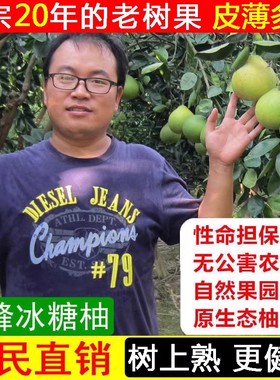 湖南怀化雪峰柚老树安江冰糖柚新鲜小苦柚中华药柚安福金兰柚泰柚