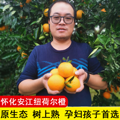 湖南怀化纽荷尔脐橙新鲜孕妇水果