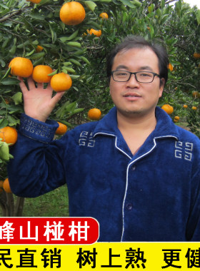 湖南怀化雪峰山椪柑芦柑新鲜孕妇水果自家果园原生态素颜水果整箱