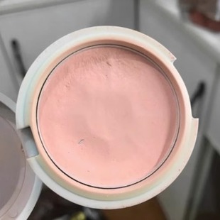 jill 努力 leen腮红baby婴儿粉单色肉粉色膨胀色 谁懂我 4个月