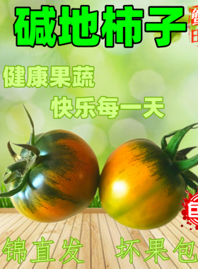 【盘锦碱地柿子】新鲜脆甜水果番茄草莓鹰爪铁皮西红柿子市子绿腚
