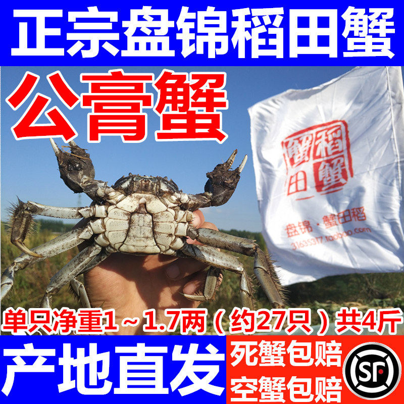 【盘锦稻田蟹】公膏蟹全公蟹河蟹大闸蟹螃蟹鲜活特价包邮礼盒