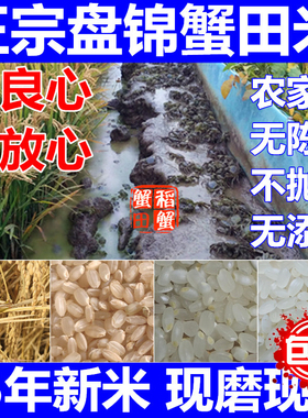 东北盘锦蟹田大米新米农家自产现磨不抛光珍珠米粳米5斤10斤20斤