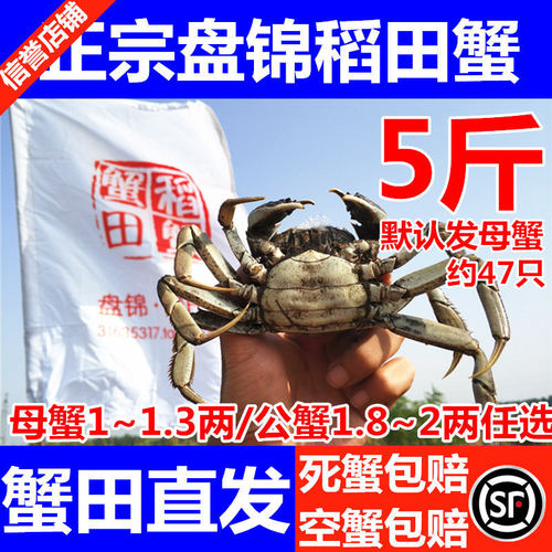 只卖正宗盘锦本地稻田蟹盘锦河蟹