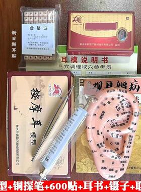 丰帆耳朵穴位模型耳贴耳部反射区