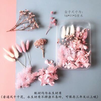 永生花满天星雏菊干花花材包浮游花压花幼儿园手工花艺diy材料包