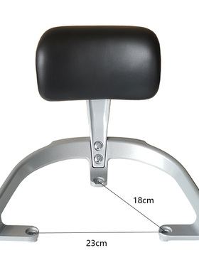 适用台铃星河EB后靠背TDT732Z尾翼电动车爱玛乘风A302扶手靠垫