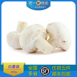 老一特卖 新鲜食用菌 鲜白蘑菇 口菇 双孢菇 400g