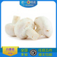 双孢菇 老一特卖 口菇 鲜白蘑菇 400g 新鲜食用菌