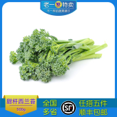 新鲜甜杆西兰苔兰花苔宁夏迷你西兰花兰花苔西蓝苔