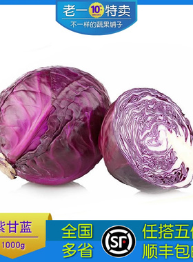 老一特卖 新鲜紫甘蓝 紫球生菜 沙拉菜 绿色蔬菜紫包1000g左右