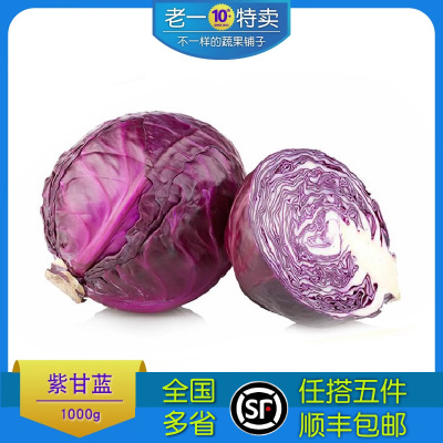 紫甘蓝新鲜绿色蔬菜紫包菜