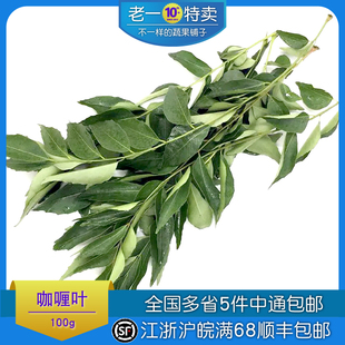 新鲜咖喱叶泰国餐厅用咖喱叶调味咖喱炒饭九里香叶100g咖喱原料