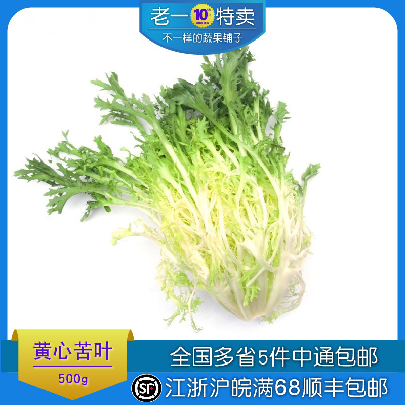 老一特卖 新鲜黄心苦叶苦菊生菜 九牙狗牙生菜沙拉蔬菜 500g