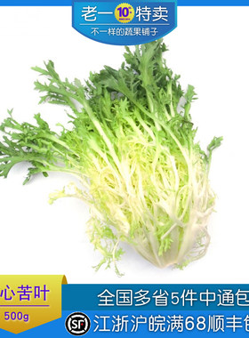 生菜新鲜黄心苦叶沙拉生菜