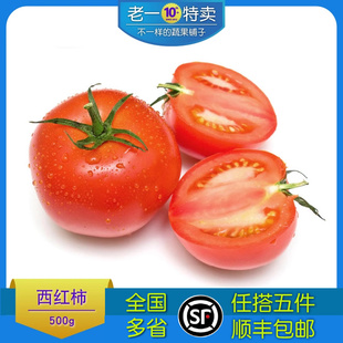 新鲜 老一特卖 洋红番茄 蔬菜500g 西红柿 蕃茄