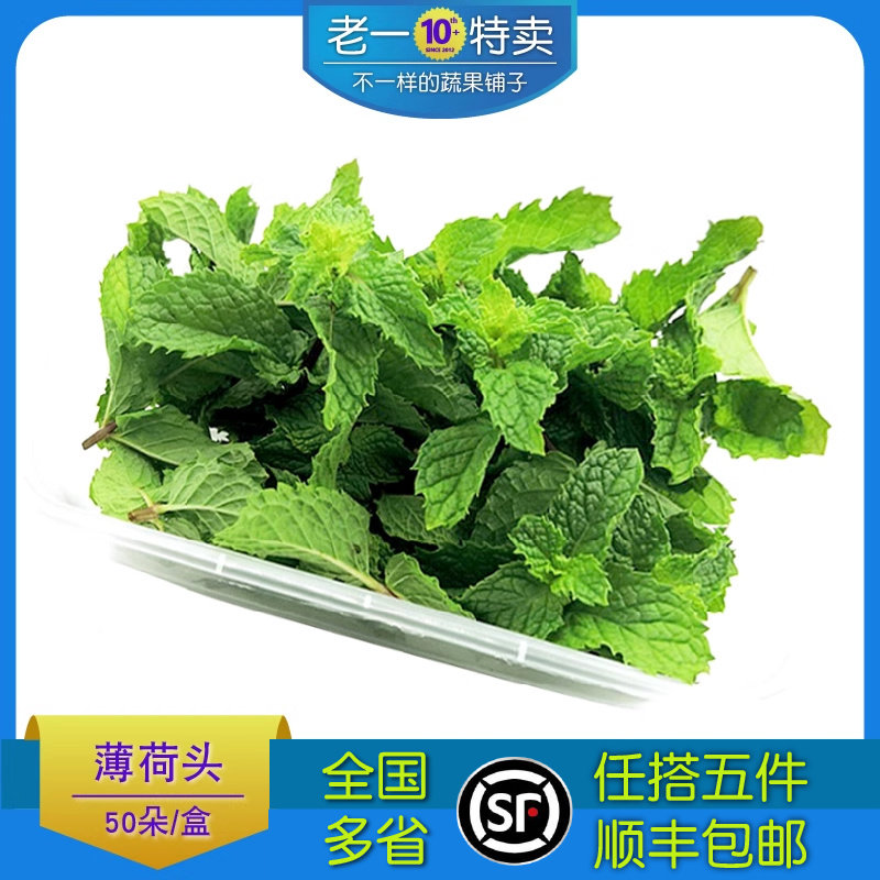 老一特卖 新鲜薄荷头10朵 薄荷尖芽莫吉托烘焙茶饮调酒装饰