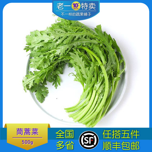 新鲜蔬菜新鲜茼蒿 蓬蒿菜 皇帝菜