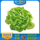 老一特卖 500g 新鲜奶油生菜波士顿生菜西餐沙拉蔬菜