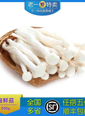 海鲜菇海鲜菇老一生鲜
