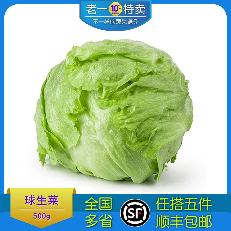 老一特卖 新鲜球生菜 汉堡圆生菜 沙拉蔬菜 西生菜 500g