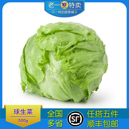 老一特卖 新鲜球生菜 汉堡圆生菜 沙拉蔬菜 西生菜 500g
