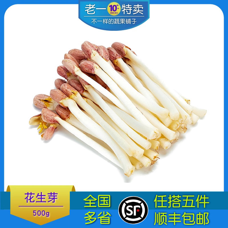 老一特卖 新鲜花生芽 花生苗   芽苗蔬菜 450,水产肉类/新鲜蔬果/熟食,其它,淘宝优惠券,粉丝福利购,淘宝优惠卷