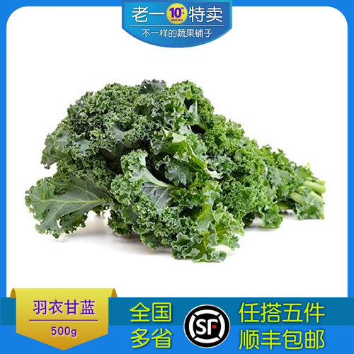 新鲜羽衣甘5份包邮蓝轻食
