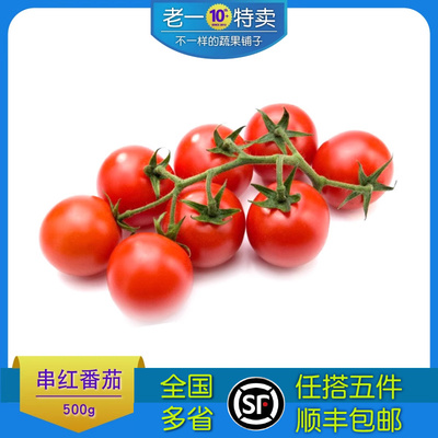 老一特卖 串红番茄 500g 新鲜串红西红柿 大番茄 串红小蕃茄 大果