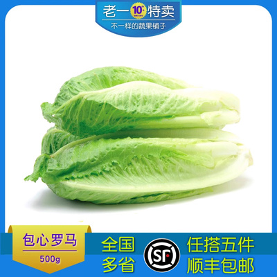 罗纹生菜老一特新鲜罗马生菜500g
