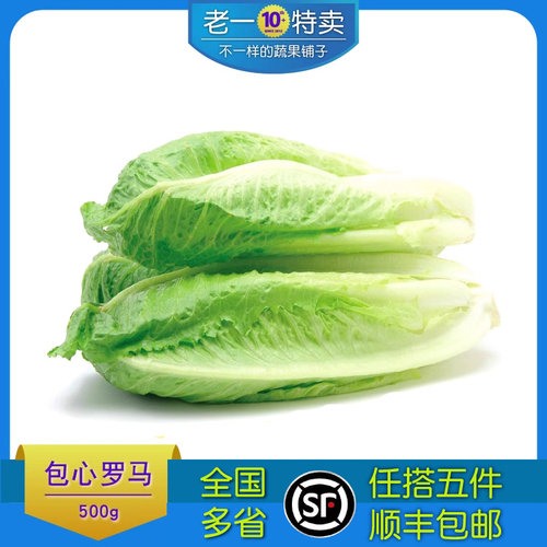 罗纹生菜老一特新鲜罗马生菜500g