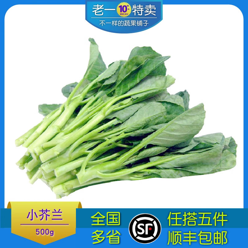 老一特卖 小芥兰500g 新鲜蔬菜小芥蓝 中花芥兰