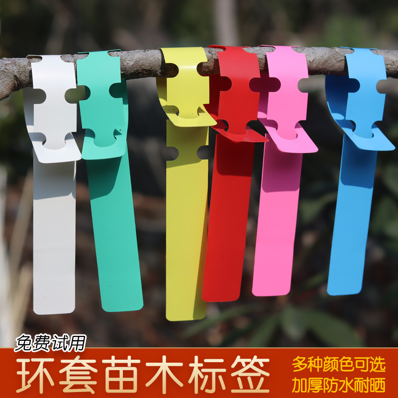环套标签花卉标识牌pvc塑料植物牌环形扣兰花防水标牌月季指示牌