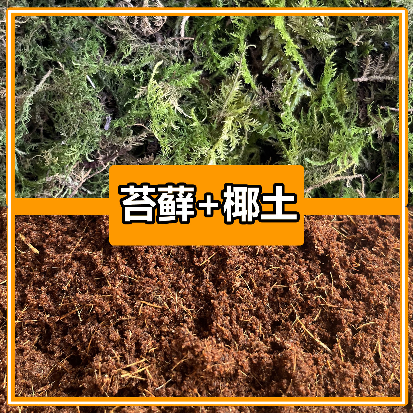 无菌椰土垫材乌龟冬眠保湿苔藓