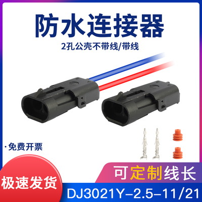 DJ3021Y-2.5-11/21 两芯防水插头12015792/12010973Delphi连接器