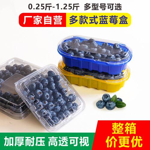 一次性水果店蓝莓包装盒