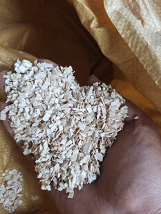 大量销售宠物天然除臭木屑垫料锯末刨花杨木屑木丝