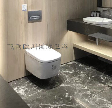 Vitra威达唯智系列智能挂厕一体机5674B003-6104、5674B003-6103